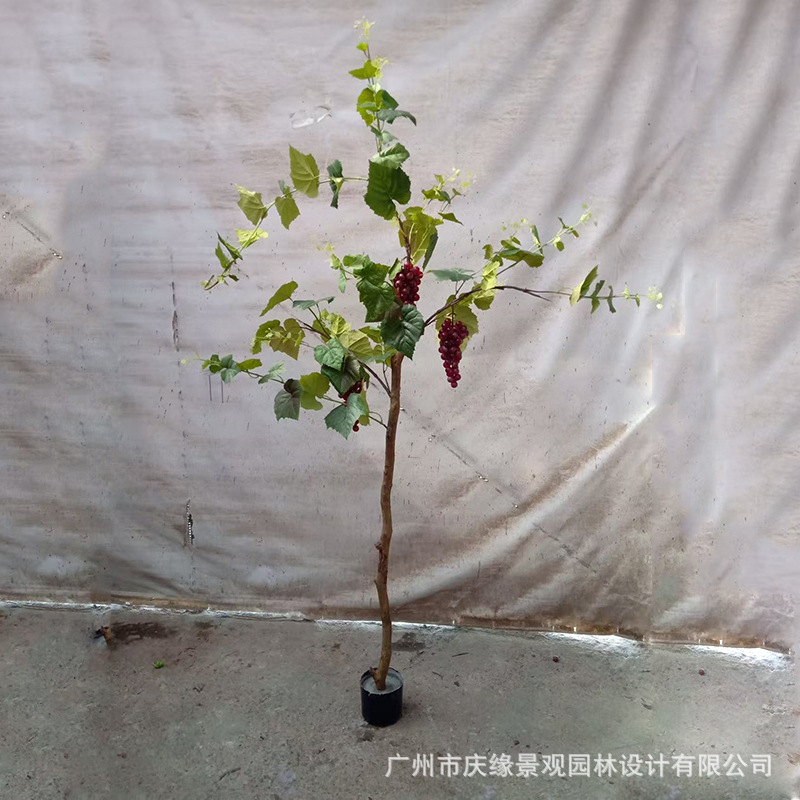 仿真葡萄树盆栽实木红葡萄藤树商场酒店装饰水果树盆栽假提子树