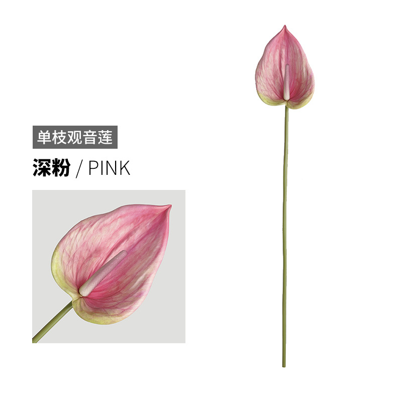 딥 파우더 핑크