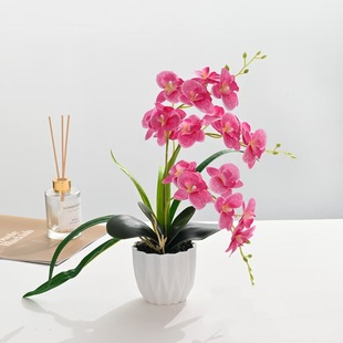 �����m����3��ٻ��Ҿ��b�С�[���zӰ�������컨�����m��������