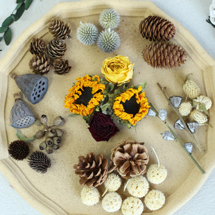 �ɻ��滨������������޻�ճ�ӻ����տ� DIY��޹���� �Ĕz����