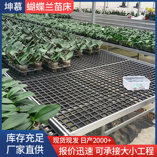 �����m�紲�r�I�����߲˷Nֲ���紲����������ɫ���ϾW�Ƅ��紲