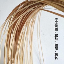 ���������l�SƤ���ֹ��񾎲��Ϲ�ˇƷ������lģ���L�~�b���