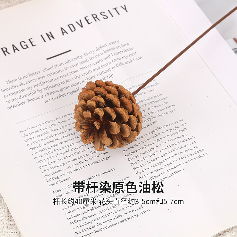 줄기가 있는 원래 색상의 천연 소나무