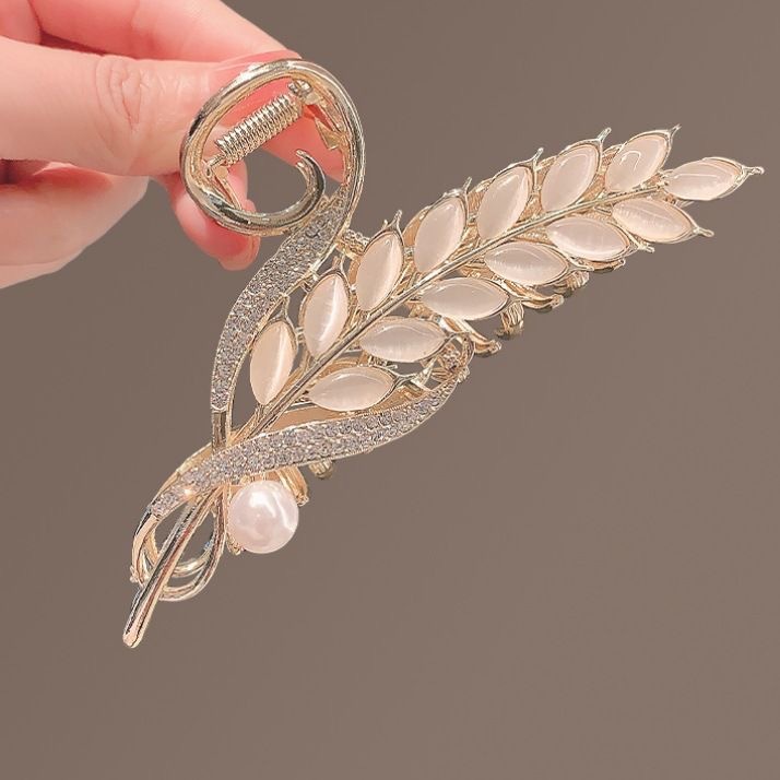 IMG_7125(20240425-192839)