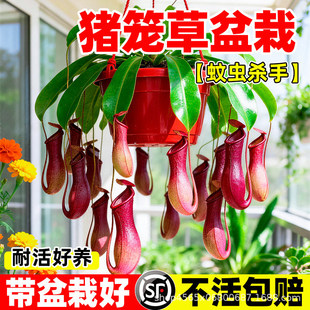 �i�\�����ԾGֲ����������xʳ�x������̨�҃Ⱥ��B���͸ߜػ���