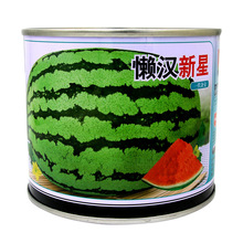 НhϷN rˈ@s֭GƤtEA