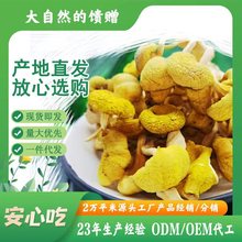 ���S�����ʳ�þ�ɽ������S���S�z���u�;���偾����lҰ����؛