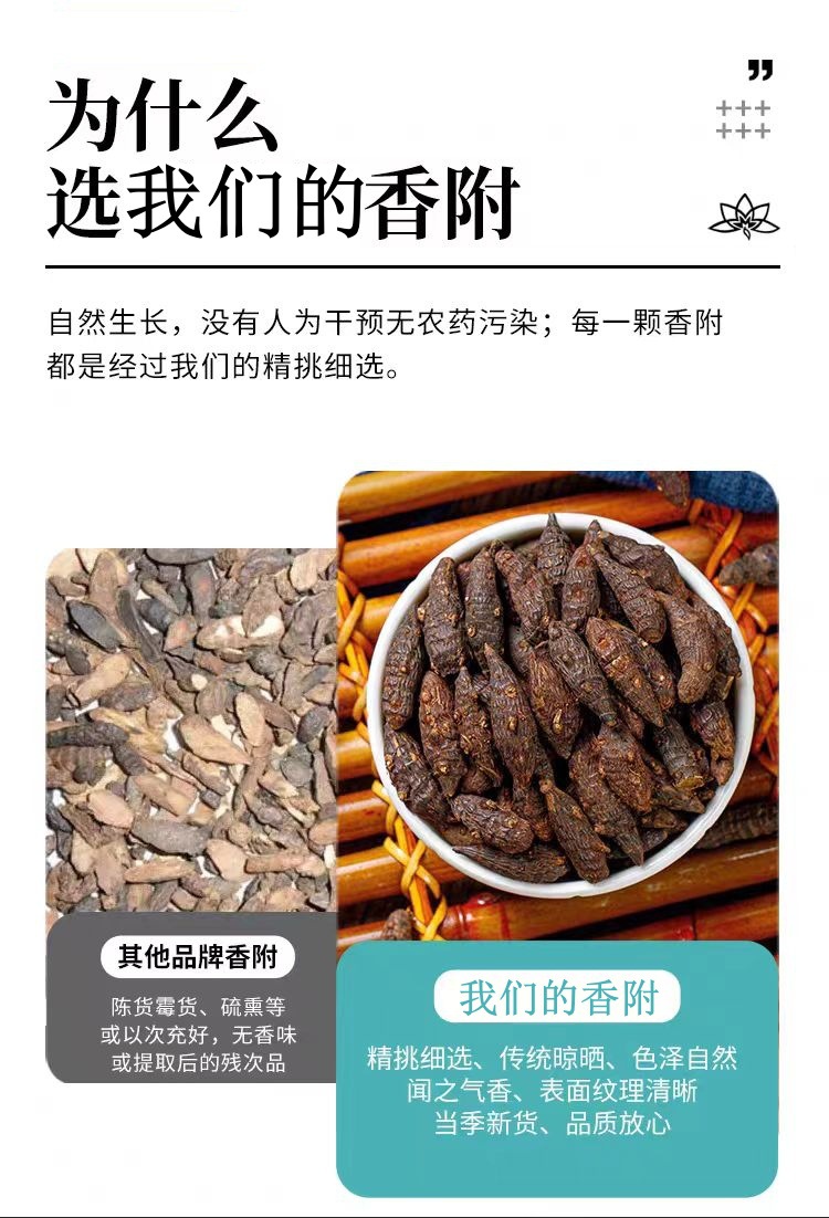 Xiang Fu Slices (Cyperus rotundus) — Vinegar-Processed Cyperus Rhizome, 500g quality and texture