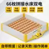 [Day display + Egg photo] Hatch 66 eggs [Plastic plate reinforcement]/Dual power supply foam water bed [Free box]