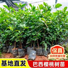 ����ֱ�l�������Ҙ������ڼ޽Ӵ���ҹ���܇���Ә������Ե���