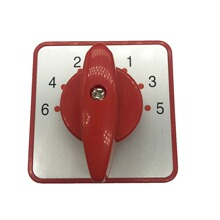 LW6D-8/F432 �ߙn�˹� �f���D�Q�_�P ��·�Դ�ГQ�x���_�P 5A