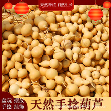 葫芦原产地直发天然手捻小葫芦现货批发地摊小葫芦手把玩葫芦批发