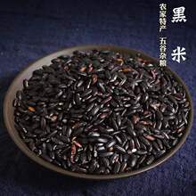当季新货东北黑米黑糙米农家自产粗粮五谷杂粮原料现货一件代发