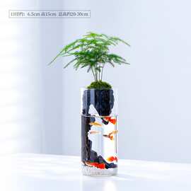 文竹苔藓微景观造景植物鱼缸室内办公桌绿植竹柏小盆栽生态瓶礼物