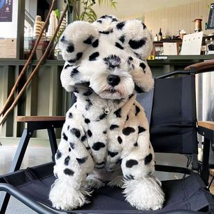 �����·��ﶬ��Ӻ񶬼���ůѩ�{�𷨶�����̩����С��ȮƤ������