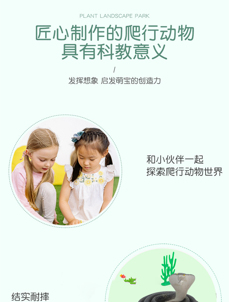 70cm蛇详情上传_04.jpg