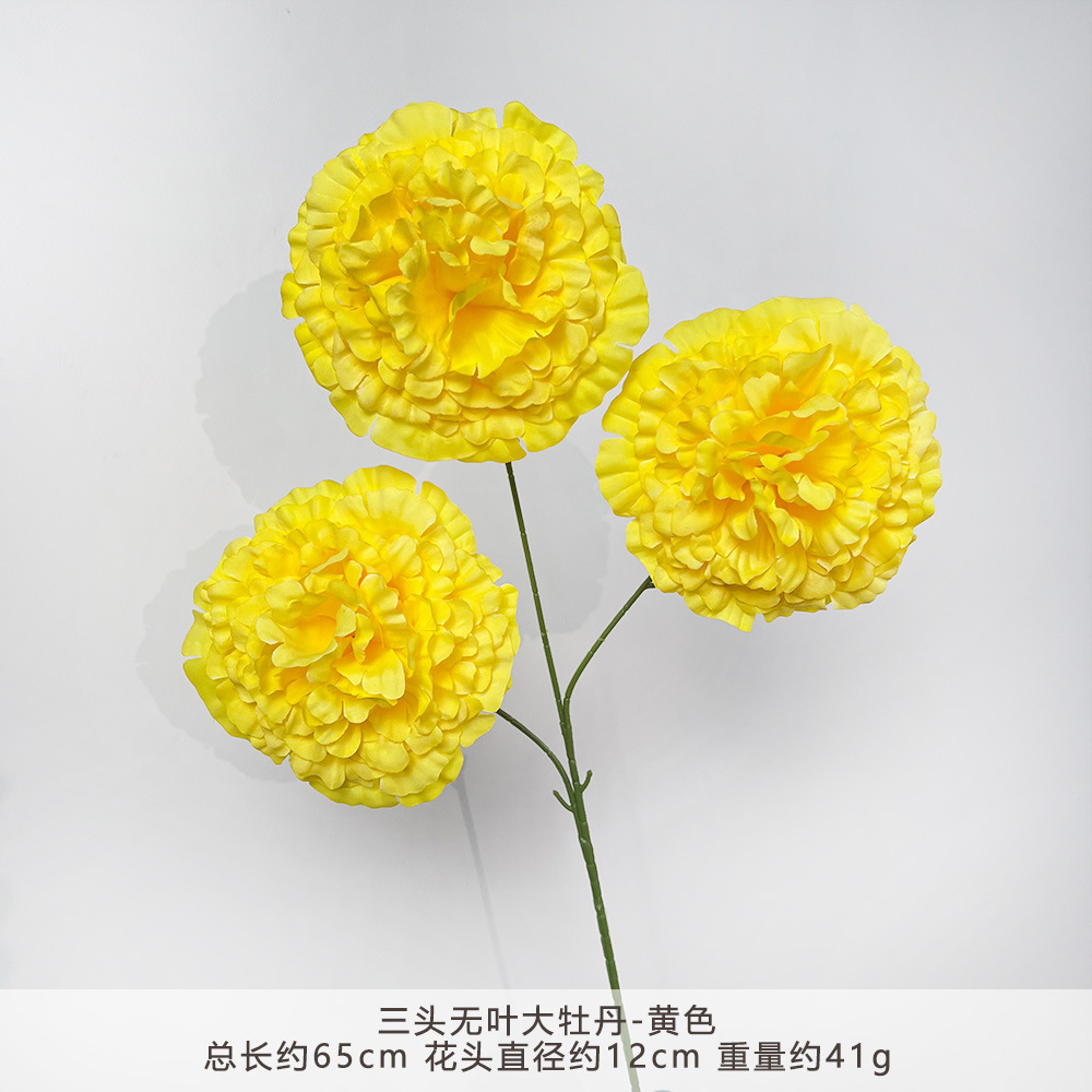 ZYJ-三头无叶大牡丹-黄色