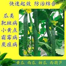 ���S�ϡ�������������J�а߲�̿�Ҳ��~�߲�˪ù��С�S�c������