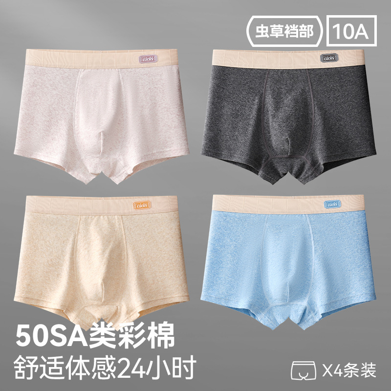 96027-그레이 퍼플+잉크 그레이+밀크 살구+스카이블루