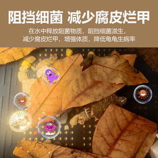 ��Ȼ�����~ԭ���B�Bֳ���A����Ƥ�����׸���ˮ�|�h���쾰�������~
