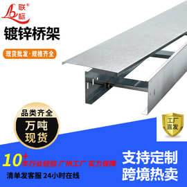 桥架厂家直供梯式200x100铁线槽金属槽盒镀锌不锈钢槽式电缆支架