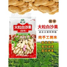 ��С��ɳ����ԭ�N�����Ѵ���������߮a�����N��ԭ�N����ɽ�|����