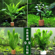 �~���쾰��ˮľľˮ�ų����~�����ݾG������ˮ��ˮ�������