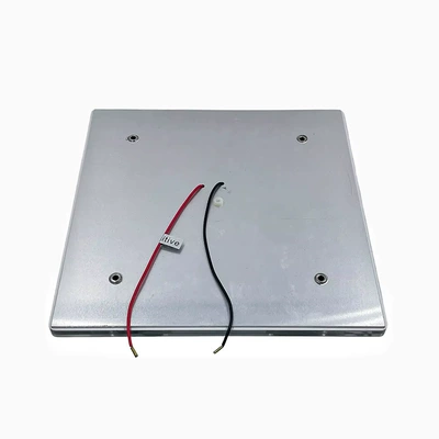 Roof Light lighting 10-30v ceiling light