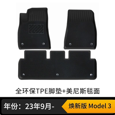 Universal Foot Pad, Car Mats - new-model-3-double-layer-floor-mats-wear-resistant-king