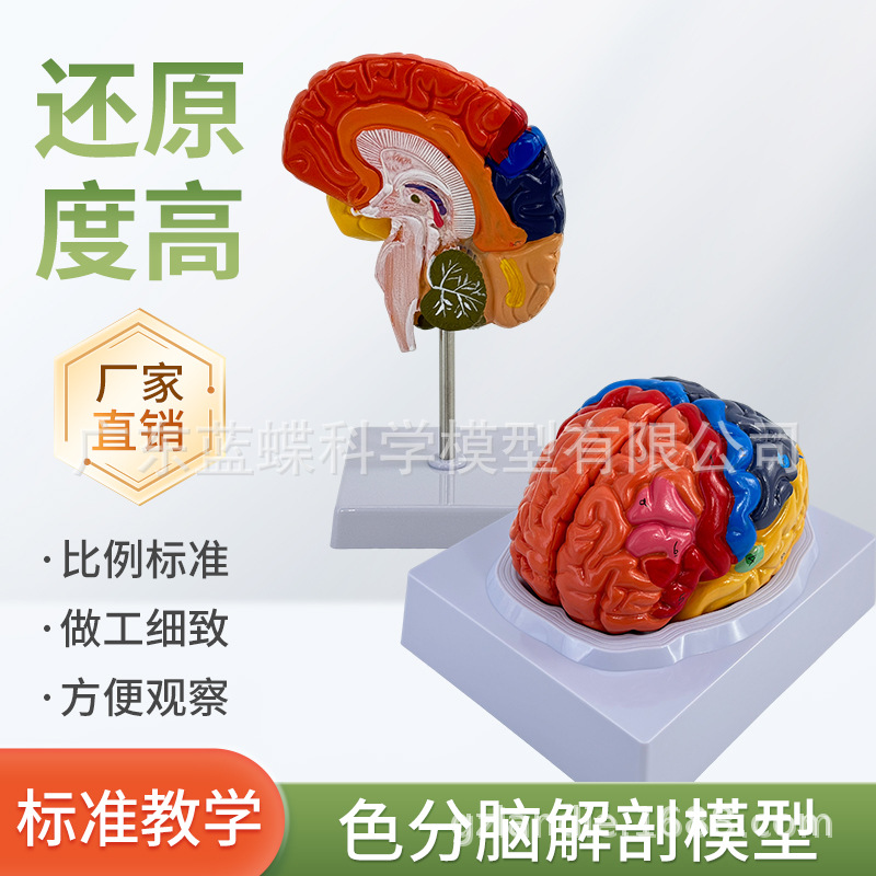 ��ģ�� �Թ�������ɫ��ģ�� ������Խ����Թ���ģ�� ��ɫ�� ���