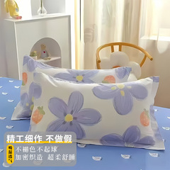 棉枕套枕头套 成人男女枕芯套枕罩忱头套一只装时代印枕皮
