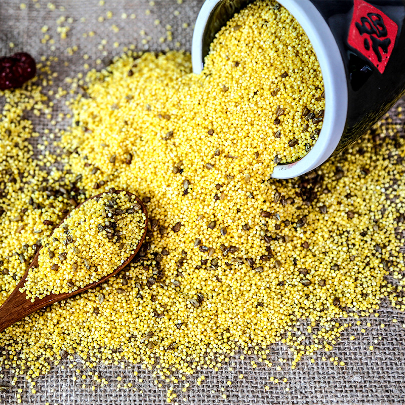 ���ɳ�����С����500g����Ŵ���ӱ�����֬���������������