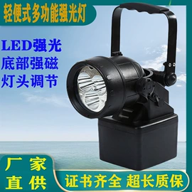 其他专用灯具;防爆灯;头灯头戴电筒