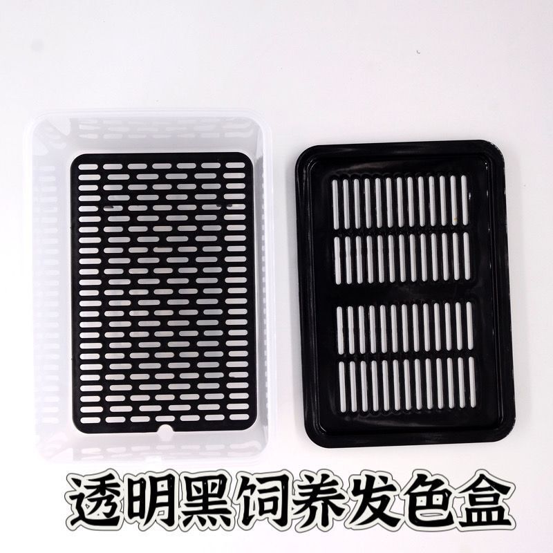 乌龟发色盒幼龟孵化饲养盒蛋龟加温黑白隔离龟苗饲养套盒带沉淀板|undefined