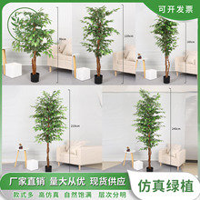 �羳�����Ř����Gֲ�����Դ��Ϳ͏d�b[���҃�����٘��쾰