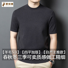 短袖针织衫男2025新款圆领纯色桑蚕丝含羊毛宽松男款冰丝春秋冬款