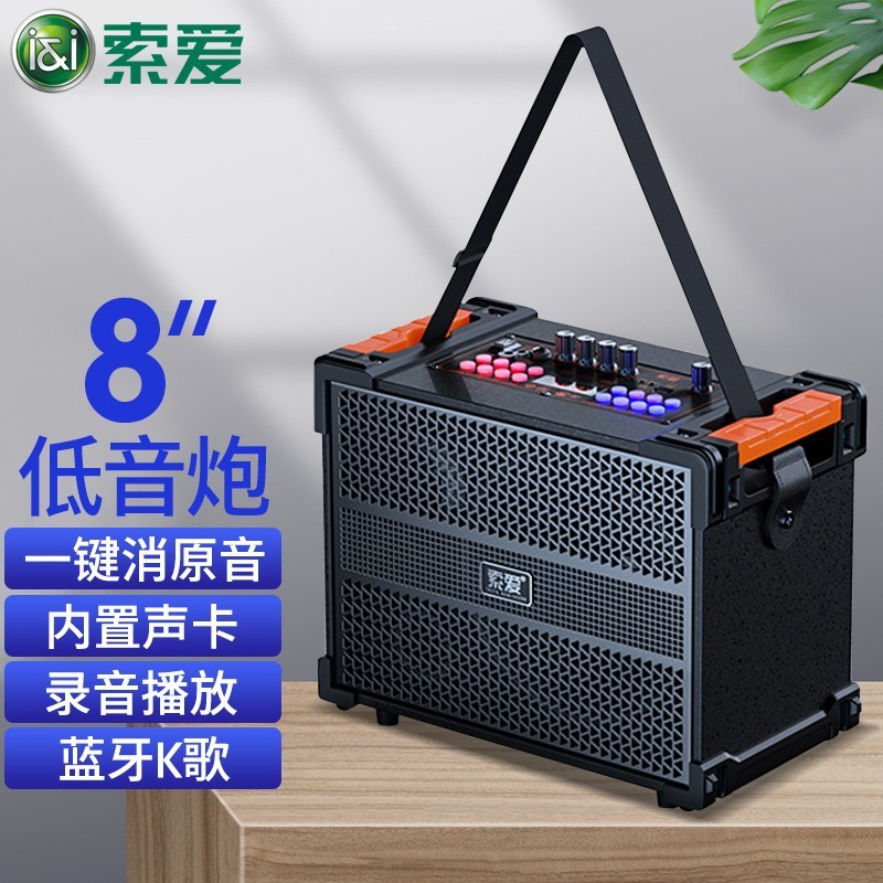 Sony F29 Outdoor Square Dance Speaker with Shoulder Strap, 3-Way Frequency Rod Portable Built-in Sound Card, Live Streaming Popularity