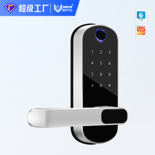 Cross-Border Foreign Trade Single-Tongue Wooden Door Smart Door Lock Graffiti Fingerprint Lock through Lock Replacement Ball Lock Factory Direct Sales