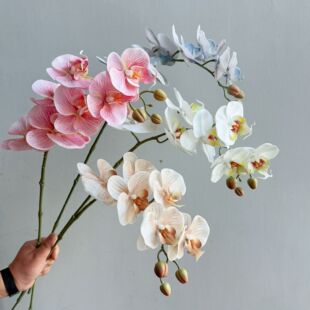 ��Ʒ�|�¿�7�^�ָ��zƬ�����m ��c�Ҿ��b廨�쾰�����m���S��