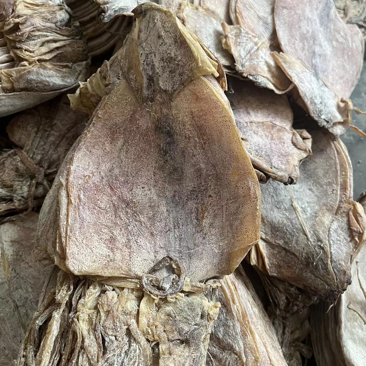 微信圖片_20220701153559