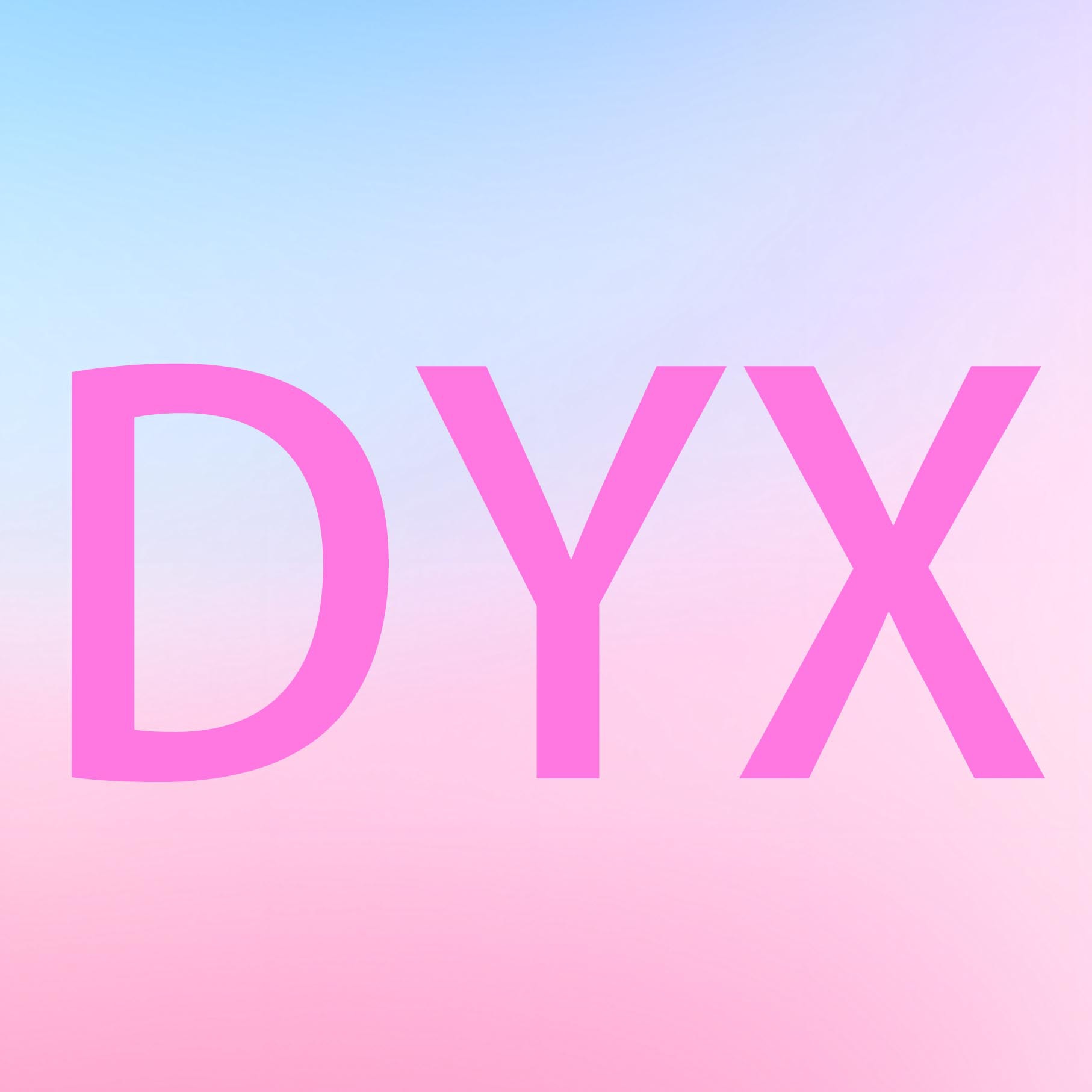 DYX全品模型玩具1