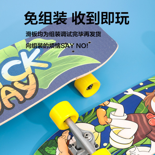 32-inch land surfing board without pedals, S5 spring steering bridge, street surfing, beginner surfing cat board, practice board