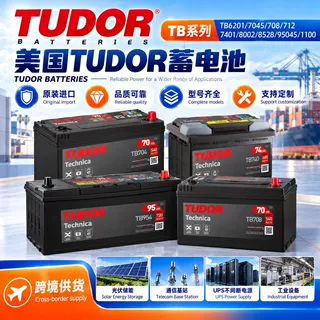 原装美国TUDOR蓄电池铅酸免维护12V全系列工业专用蓄电池启动电源