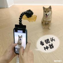 猫狗自拍杆宠物自拍器拍照片诱导看镜头食物夹手机支架玩具