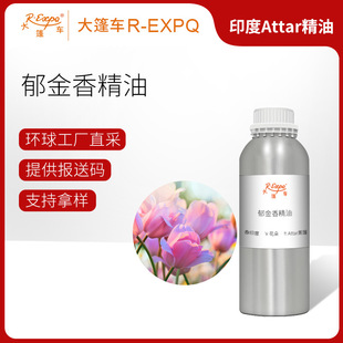 �����㾫�� Tulip ӡ�Ȯa��ֱ�� �����o������{�� ����܇����