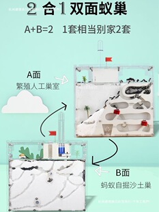 Λρ��Ѩ�e��ρ���Ҍ��﹤���������������ρ���쾰diy����