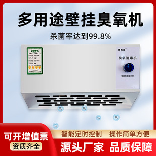 Food factory ozone workshop generator disinfection wall-mounted food sterilization wall-mounted room deodorizing ozone machine ozone waste