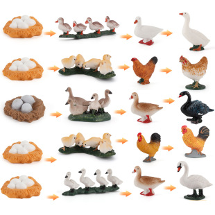 �羳��ͯ�ƽ��J֪����ֲ�������L������߹��uĸ�u�ڰ����Zģ��