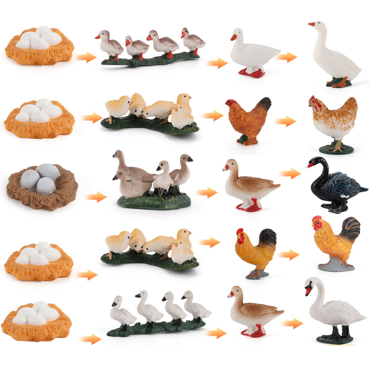 Ciencia y educación transfronterizas para niños Simulación cognitiva Ciclo de crecimiento de plantas y animales Juguetes Gallo Gallo modelo de cisne blanco y negro
