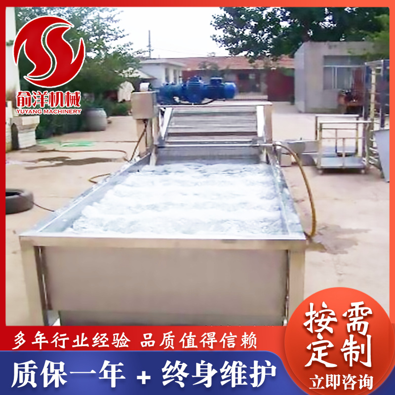 气泡翻浪清洗机流水线厂家供应 黄瓜清洗机洗菜机